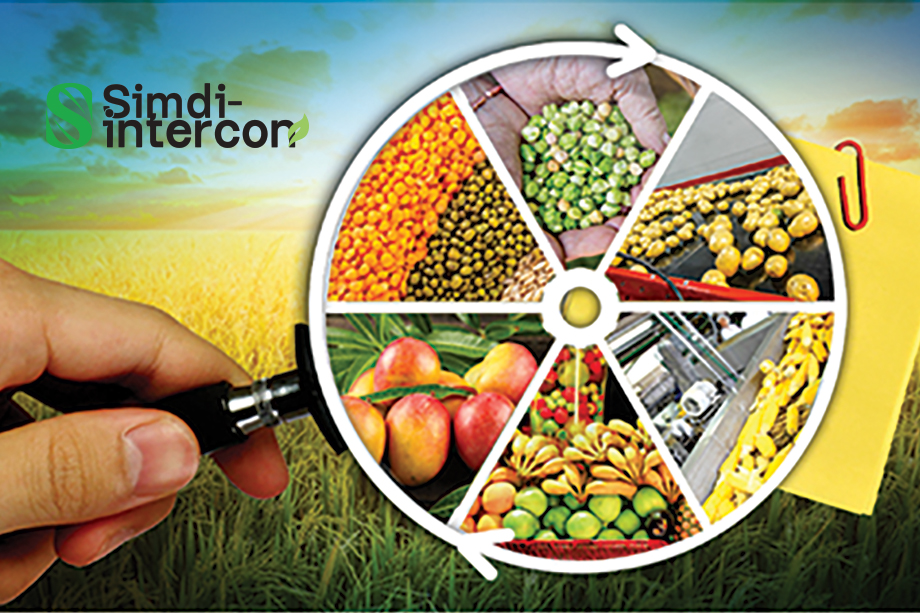 Simdi-Intercon history of the company